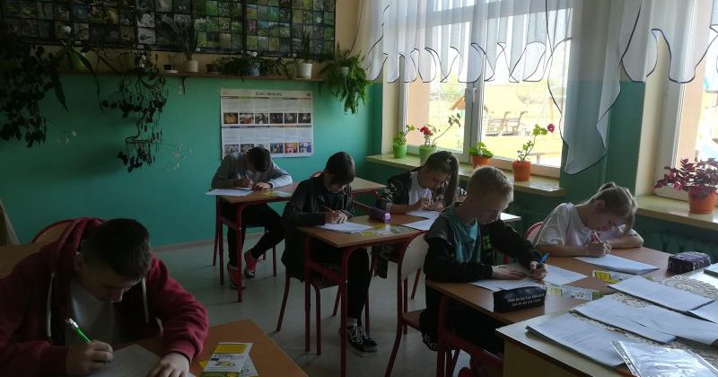 PORADNICTWO ZAWODOWE DROGĄ DO SUKCESU