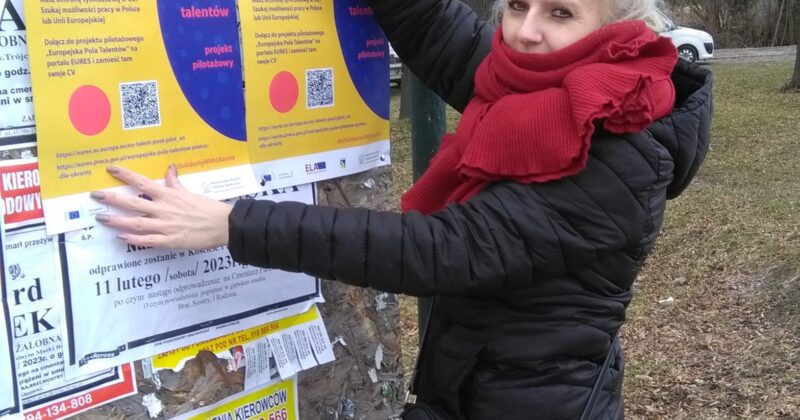 „Europejska pula talentów” projekt pilotażowy